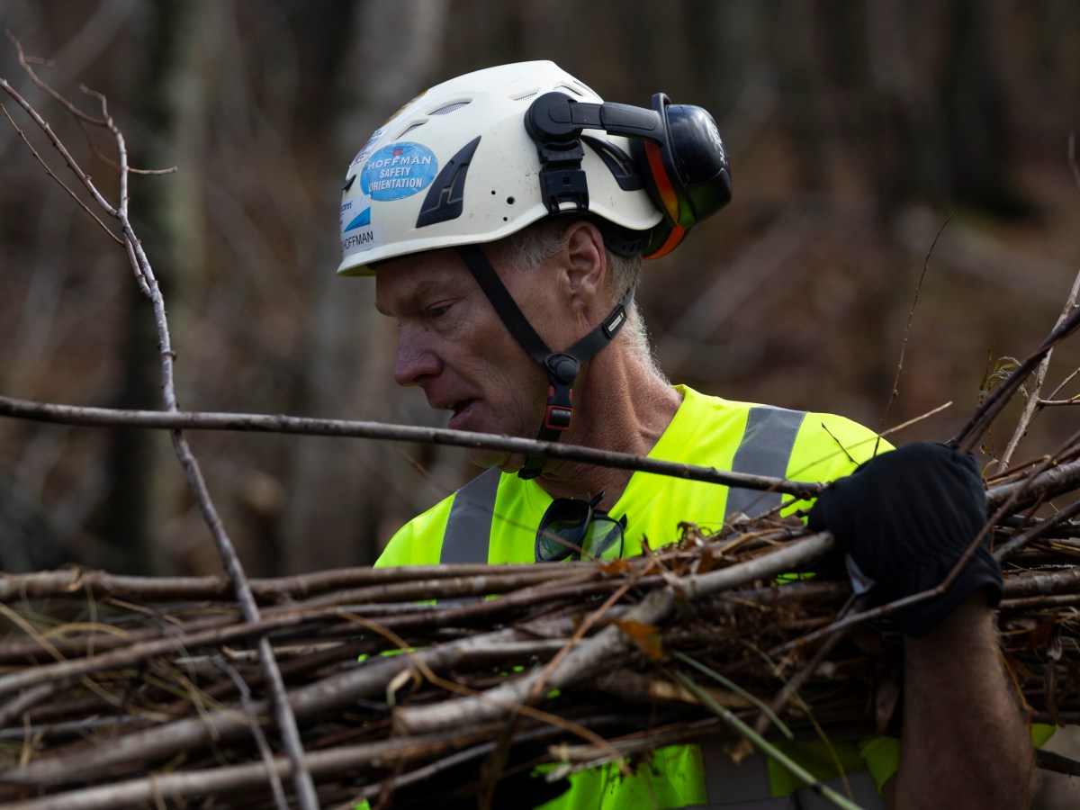 An ecosystem engineer’s vision: mock beaver dams to restore Wisconsin wetlands
