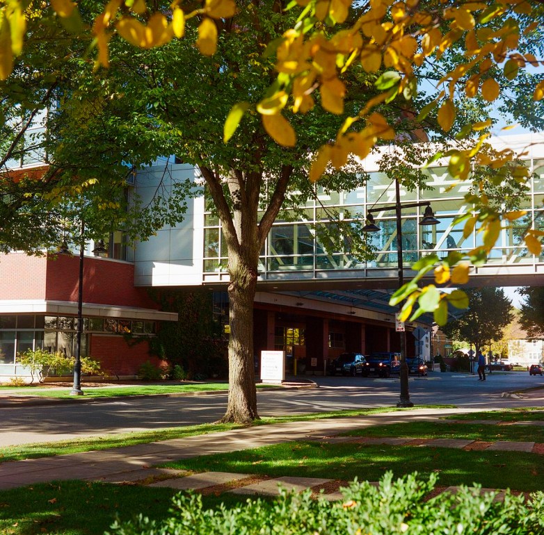 A tree with green and yellow leaves stands beside a sidewalk and street, with a modern building and glass skyway visible in the background.