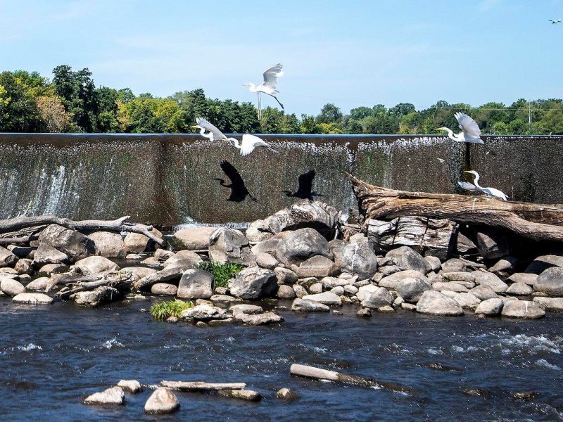 Birds fly near a dam, rocks and water.