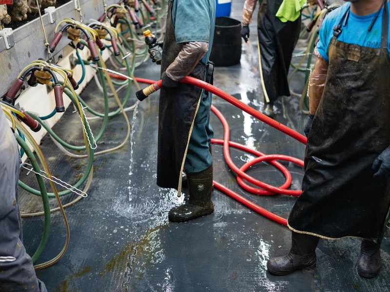 Rapid deportation push leaves immigrant families in the dark