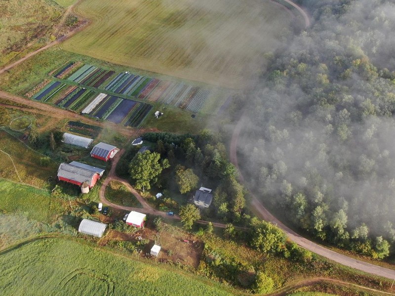 Aerial view of a farm with red barns, greenhouses and neatly planted crop rows beside a road curving past a wooded area partially covered by fog.