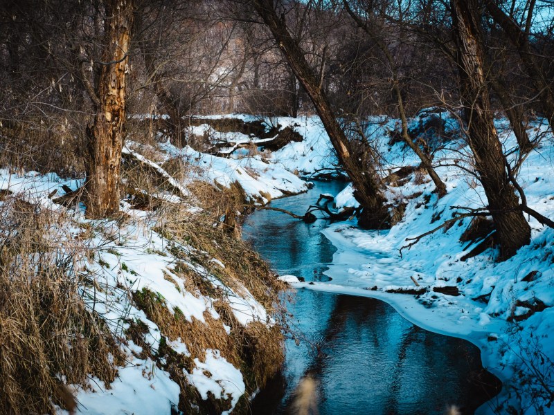 A narrow creek flows between snow-covered banks lined with leafless trees and fallen branches in a wooded area.