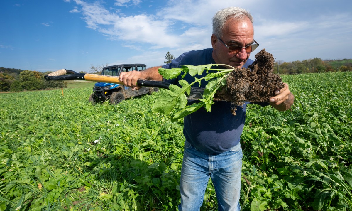 A person holds a shovel that is holding a leafy plant with roots and soil attached in a green field, with a vehicle parked in the field in the background under a blue sky with some clouds.